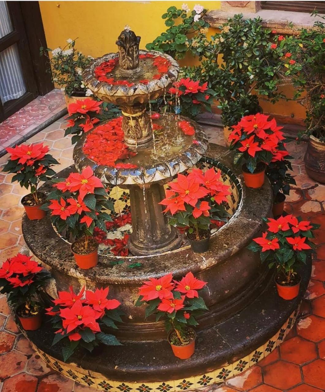 فندق Casa Rosario Centro سان ميغيل دي الليندي المظهر الخارجي الصورة